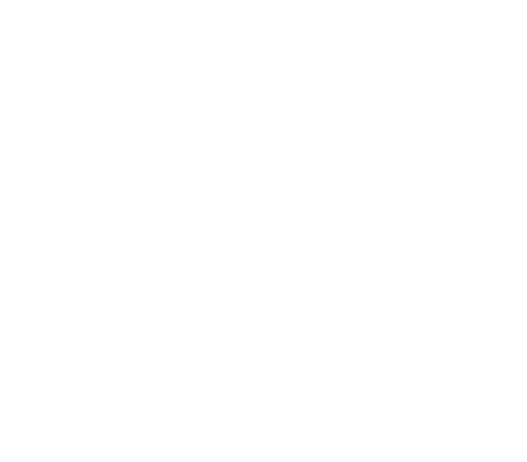 Elefant